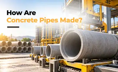 Homepage  